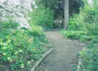 Click for larger image of planting planting
